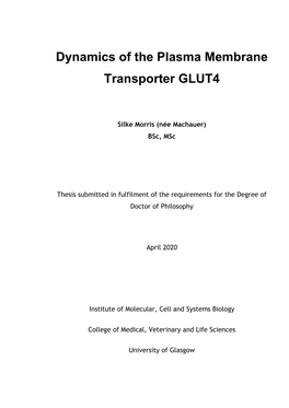 Dynamics of the Plasma Membrane Transporter GLUT4