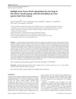 Multiple Trans-Torres Strait Colonisations by Tree Frogs in the Litoria Caerulea Group, with the Description of a New Species from New Guinea