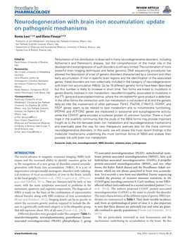 Neurodegeneration with Brain Iron Accumulation: Update on Pathogenic Mechanisms