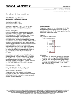 PRKAR1A, His-Tagged, Human Recombinant, Expressed in Sf9 Cells