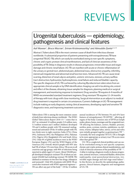 Urogenital Tuberculosis — Epidemiology, Pathogenesis and Clinical Features