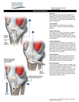 Patella Tibia Patella Tendon Tibial Tubercle Screw