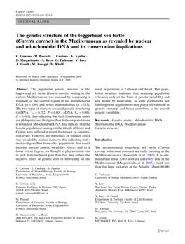 The Genetic Structure of the Loggerhead Sea Turtle (Caretta