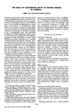 THE ROLE of CLOSTRIDIUM NOVYI in BOVINE DISEASE a Mixture Of