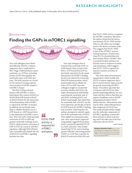 Finding the Gaps in Mtorc1 Signalling Tion Between FLCN−FNIP and the Rags in Cell Culture Was Strength- Ened in the Absence of Amino Acids