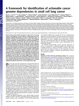 A Framework for Identification of Actionable Cancer Genome