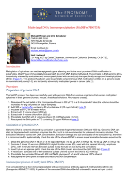 Protocol: Methylated DNA Immunoprecipitation