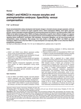 HDAC1 and HDAC2 in Mouse Oocytes and Preimplantation Embryos: Specificity Versus Compensation