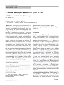 Evolution and Expression of BMP Genes in Flies