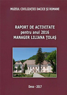 Raportul De Activitate Manager Muzeului Civilizației Dacice Și