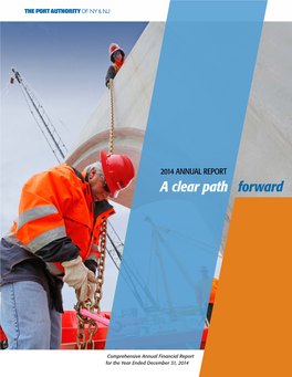 2014 Annual Report a Clear Path Forward