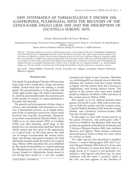 Gastropoda, Pulmonata), with the Recovery of the Genus-Name Drusia Gray 1855 and the Description of Escutiella Subgen
