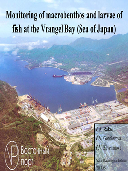 Monitoring of Macrobenthos and Larvae of Fish at the Vrangel Bay (Sea of Japan)