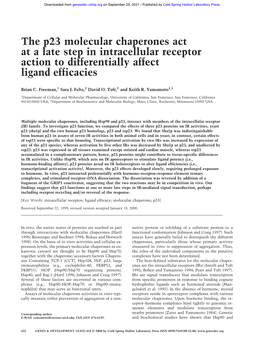 The P23 Molecular Chaperones Act at a Late Step in Intracellular Receptor Action to Differentially Affect Ligand Efficacies