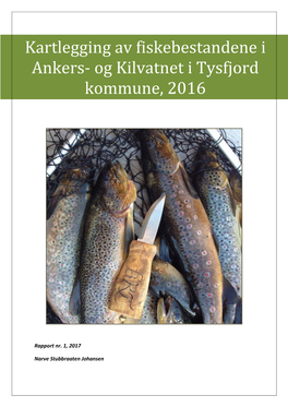 Kartlegging Av Fiskebestandene I Ankers- Og Kilvatnet I Tysfjord Kommune, 2016