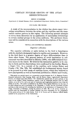 Esting Resemblances Between the Avian and the Reptilian and the Mam- Malian Nuclear Pattern in This Region