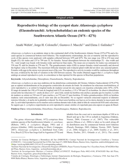 Reproductive Biology of the Eyespot Skate Atlantoraja Cyclophora (Elasmobranchii: Arhynchobatidae) an Endemic Species of the Southwestern Atlantic Ocean (34ºS - 42ºS)