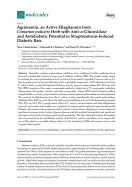 Agrimoniin, an Active Ellagitannin from Comarum Palustre Herb with Anti-Α-Glucosidase and Antidiabetic Potential in Streptozotocin-Induced Diabetic Rats