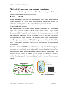 Chromosome Structure and Organisation