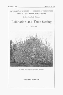 Pollination and Fruit Setting