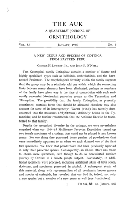 A New Genus and Species of Cotinga from Eastern Peru