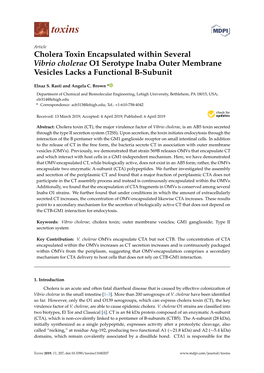 Cholera Toxin Encapsulated Within Several Vibrio Cholerae O1 Serotype Inaba Outer Membrane Vesicles Lacks a Functional B-Subunit