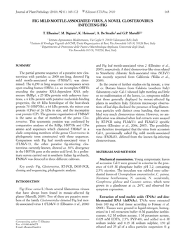 Fig Mild Mottle-Associated Virus, a Novel Closterovirus Infecting Fig