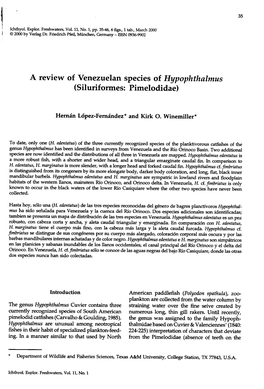 A Review of Venezuelan Species of Hypophthalmus (Siluriformes: Pimelodidae)