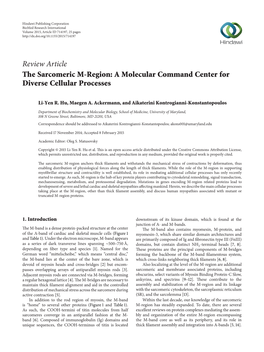 The Sarcomeric M-Region: a Molecular Command Center for Diverse Cellular Processes