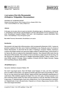 Zootaxa 1581: 37-43 (2007) ISSN 1175-5326 (Print Edition) ~ Www .Mapress.Com/Zootaxa/ ZOOTAXA Copyright © 2007 · Magnolia Press ISSN 1175-5334 ( Online Edition)