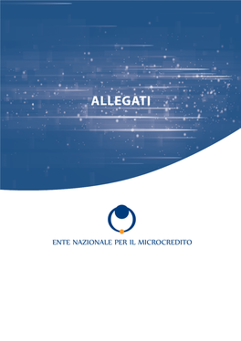 Relazionebiennale 2016-17 Allegati