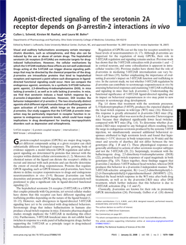 Agonist-Directed Signaling of the Serotonin 2A Receptor Depends On