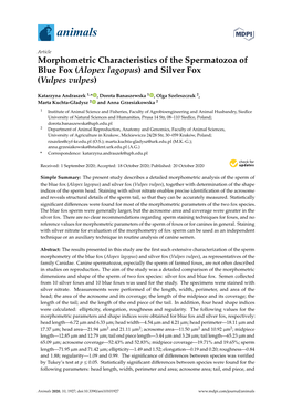 Morphometric Characteristics of the Spermatozoa of Blue Fox (Alopex Lagopus) and Silver Fox (Vulpes Vulpes)