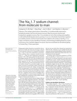 The Nav1.7 Sodium Channel: from Molecule to Man