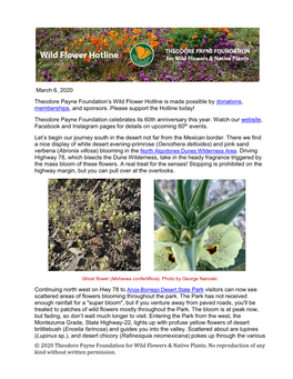 © 2020 Theodore Payne Foundation for Wild Flowers & Native Plants. No