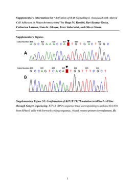 Activation of RAS Signalling Is Associated with Altered Cell Adhesion in Phaeochromocytoma” by Hugo M