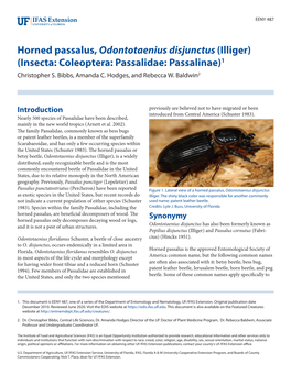 Horned Passalus, Odontotaenius Disjunctus (Illiger) (Insecta: Coleoptera: Passalidae: Passalinae)1 Christopher S