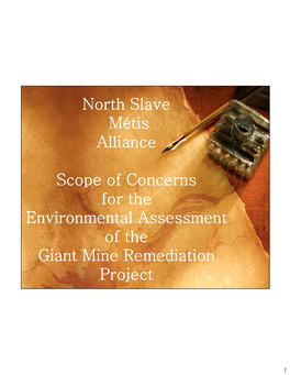 North Slave Métis Alliance Scope of Concerns for the Environmental