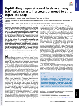 Hsp104 Disaggregase at Normal Levels Cures Many [PSI+] Prion