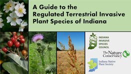 A Guide to the Regulated Terrestrial Invasive Plant Species of Indiana