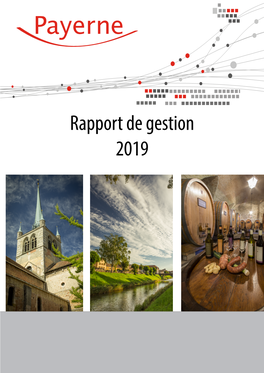 Rapport De Gestion 2019 RAPPORT DE GESTION 2019 1