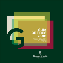 Guia De Fires 2016