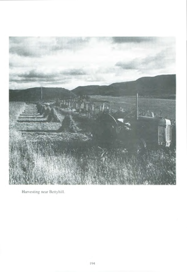 Harvesting Near Bettyhill