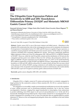 The Ubiquitin Gene Expression Pattern and Sensitivity to UBB and UBC Knockdown Diﬀerentiate Primary 23132/87 and Metastatic MKN45 Gastric Cancer Cells