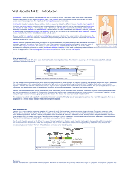 Viral Hepatitis a & E