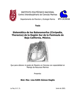 Cirripedia, Thoracica) De La Región Sur De La Península De Baja California, México