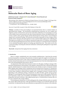 Molecular Basis of Bone Aging