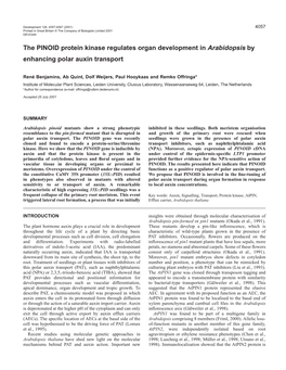 PINOID Enhances Polar Auxin Transport 4059 Visualised Using a Zeiss Axioplan2 Imaging Microscope with DIC Optics