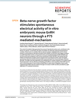 Beta-Nerve Growth Factor Stimulates Spontaneous Electrical Activity of In