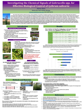 Investigating the Chemical Signals of Galerucella Spp. for Effective Biological Control of Lythrum Salicaria.Pdf